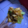 Cooksnap dari Raden Jamal Udin untuk resep Tumis pedas manis tahu coklat