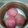 Cooksnap dari halo puspa untuk resep Bakpao warna warni endess