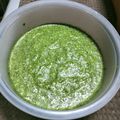 Falguni Shah's cooksnap of when they made કોથમીર ફુદીના ની ફરાળી ચટણી (Kothmir Pudina Farali Chutney Recipe In Gujarati).