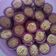 Cooksnap dari Taci Indriani untuk resep Cookies bolu kering mini