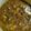 Sushmita Chakraborty's cooksnap of when they made Dal makhni.