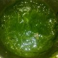 Shilpi gupta's cooksnap of when they made કોથમીર દાળિયા ની ચટણી.