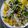Beena Radia's cooksnap of when they made વાટીદાળના ખમણ (Vatidal Khaman Recipe In Gujarati).