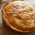 El cooksnap de Maria Pinizzoto cuando hizo Ispanakli Kek o tarta Musgo de los bosques.
