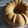 Cooksnap dari Radika Prayoga untuk resep Banana cake