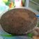 Cooksnap dari Siska Gunawan untuk resep Brownis kukus no mixer