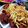 صورة من Priences wafa(إم أوس)، شاركها بعد تجربة وصفة كنتاكي (بروستد)🍗🍟
