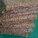 Kiran Solanki's cooksnap of when they made તલની ચીકી (Til Chikki Recipe In Gujarati).