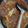 Cooksnap dari Nur Annisa untuk resep TONGSENG KAMBING #FestivalResepAsia#[Indonesia]#dagingkambing#