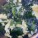 賴小孟 的 紫菜蛋花湯 cooksnap
