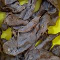 Cooksnap dari vitta dhamayanti untuk resep Marinasi daging grill (ala racha)