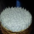 El cooksnap de Marisel Sequeira cuando hizo Merengue suizo.