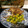El cooksnap de Nicole Dubois cuando hizo Perdices extremeñas.
