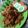 Cooksnap dari Ibu Ucu untuk resep Ayam Goreng Kremes