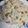 Sayani Banerjee's cooksnap of when they made সব্জী পোলাও (sabji pulao recipe in Bengali).