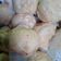 Cooksnap dari Vita Sari untuk resep Bakpao Anti Gagal (isi coklat lumer)