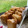 El cooksnap de Katerin Pagano cuando hizo Pastelitos de dulce de membrillo hojaldrados.