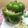 ÝTumpa Bose's cooksnap of when they made ভাত ভাজা (bhaat bhaja recipe in Bengali).