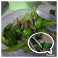 Cooksnap dari Rizqi Paramita untuk resep Thai Pandan-Wrapped Chicken aka Ayam Goreng Pandan Thailand