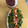 El cooksnap de Raquel cuando hizo Ensalada de temporada con aliño de ceviche.