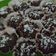 Cooksnap dari Cha Zheboea untuk resep Brownies cup kukus