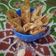 Cooksnap dari Adhitya Indrayana untuk resep 156. Pangsit Cone isi Mie instan