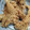Cooksnap dari Dinda untuk resep Jamur super crispy