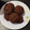 El cooksnap de Miriam Buffa cuando hizo Galletitas de algarroba y harina de mijo.