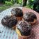 Cooksnap dari Inggried Wedhaswary untuk resep Donat Kampung (No Telur No Susu)