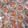 Cooksnap dari Shita Widianti untuk resep Puding pepaya susu