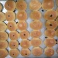 Cooksnap dari hendro purnomo rahardjo untuk resep Roti Manis Susu / Sweet Bread Milk