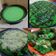 Cooksnap dari boenda fadilaq untuk resep Terang Bulan Mini