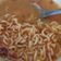 Cooksnap dari Handini untuk resep Mie Rebus Padang (Indomie Kari Ayam)