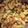 Nithyakalyani Sahayaraj's cooksnap of when they made ஈஸி மக்ரோனி ரெசிபி (Easy Macroni Recipe in Tamil).