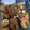 Cooksnap dari Fen Feng untuk resep Famous Amos Crispy Cookies (Copycat)
