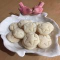 کوک اسنپ peony بعد از امتحان کردن شیرینی نارگیلی بدون پخت رژیمی.