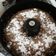 El cooksnap de Cristina Solemena cuando hizo Budín húmedo de banana y harina integral.