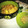 El cooksnap de Zaida TC @alquimiasfood cuando hizo Arroz salteado con soja.