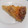El cooksnap de Sofi cuando hizo Quiche de calabaza, gorgonzola y nueces.