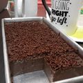 Cooksnap dari Venrino Nino untuk resep Puding Brownies