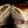 landonkc816's cooksnap of when they made French bread panini.