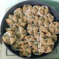 Cooksnap dari Chen Mei Cen untuk resep Bolu Kukus Mekar