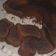 El cooksnap de mony cuando hizo Torta de chocolate Sin Tacc.