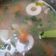 Cooksnap dari ifa untuk resep Sayur sop bening simple rumahan