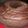 Cooksnap dari Tiara Hartati untuk resep Brownies kukus