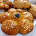 کوک اسنپ Motahare بعد از امتحان کردن کلوچه سیب.