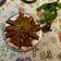 Tracy H 的 糖醋排骨(非油炸) cooksnap