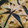 El cooksnap de M A I R A cuando hizo Empanadas árabes.