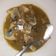Cooksnap dari Shuliezt untuk resep 02. Tumis kerang (simple)