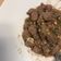 Cooksnap dari Les Ley untuk resep Beef Saikoro Garlic Butter